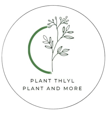main-logo