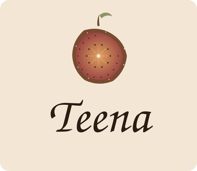 Logo of Teena store