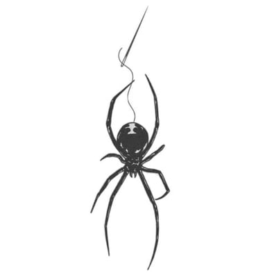spidy logo