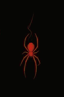 spidy logo