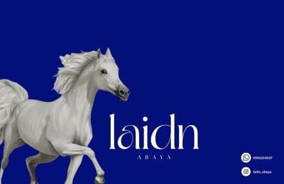 Laidn abaya logo