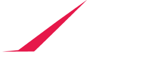 ZD store logo