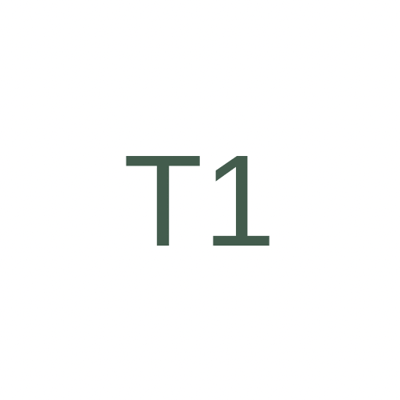 T1 logo