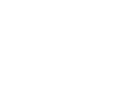 Mr Garage logo