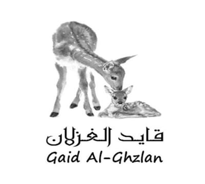 قايد الغزلان