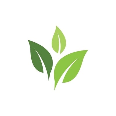 Numook Store