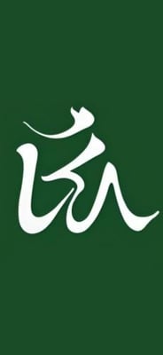LavaStore logo