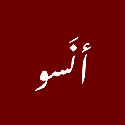 أنسو logo