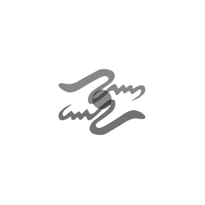 Nasybs logo