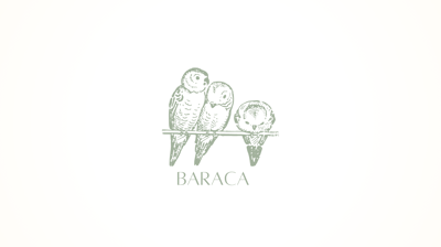 بركة كونسبت ستور logo