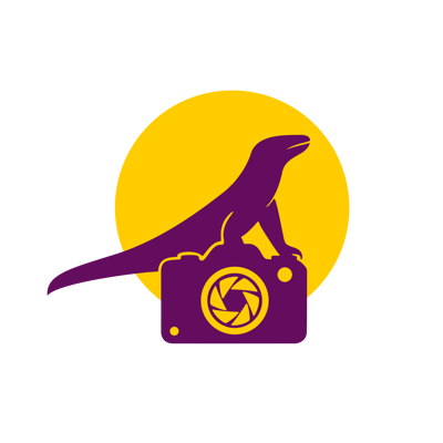Electronics Lizard logo