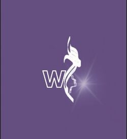 وهج العناية logo
