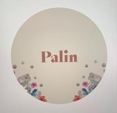 Palin logo