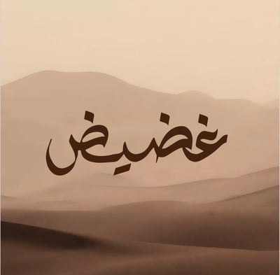غضيض عبايه logo