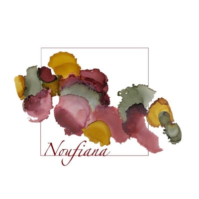 Noufiana logo