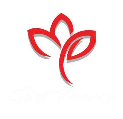 بست فلاورز logo