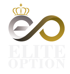 إيلايت أوبشن logo