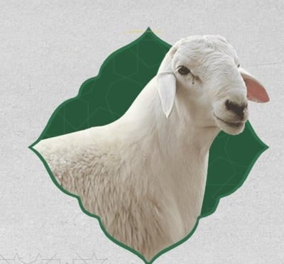 سهل logo