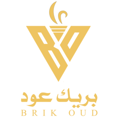 بريك عود logo