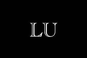 LULU ACCESSORIES logo
