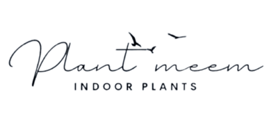 نباتات ميم الداخلية logo