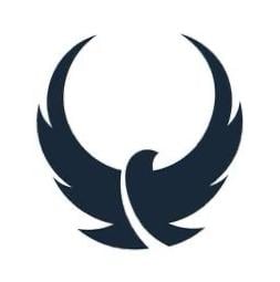 Falcon wing جناح الصقر logo