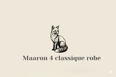 𝐌𝐚𝐚𝐫𝐨𝐧⁴ logo