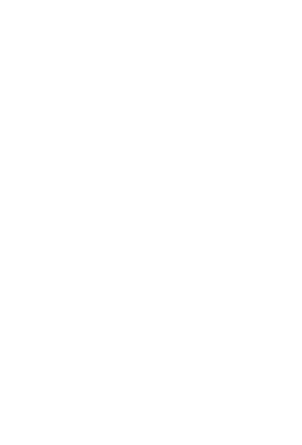 TWENTY NINE logo