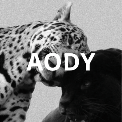 AODY logo
