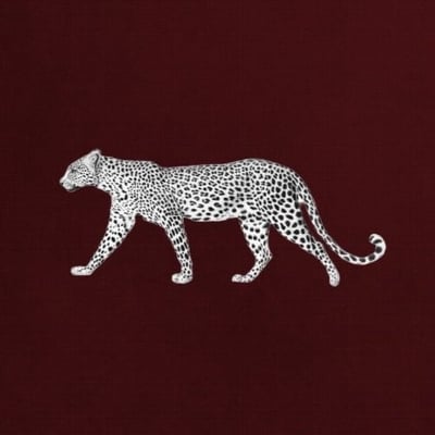 NL Cheetah logo