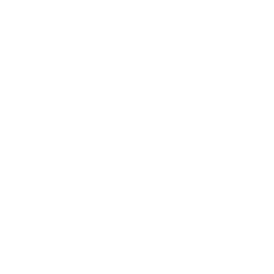 DIGITAL CAM logo