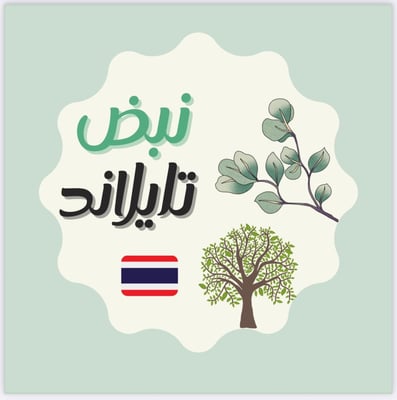 نبض تايلاند logo