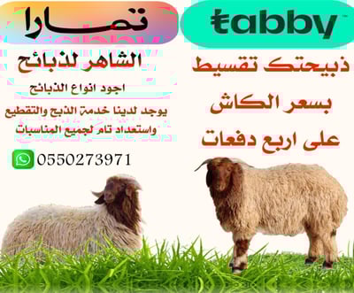 الشاهر لذبايح logo