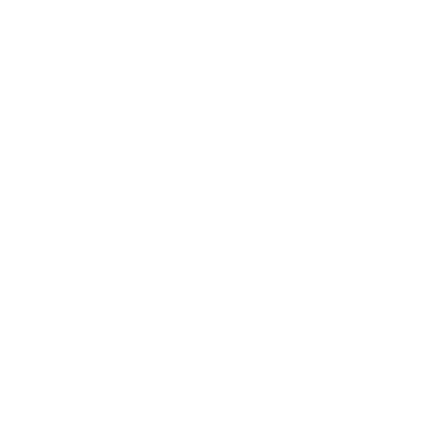 ٌRare Sport logo
