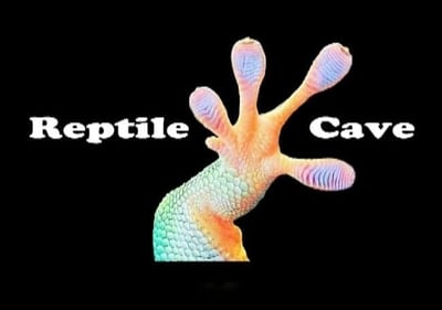 Reptile cave logo