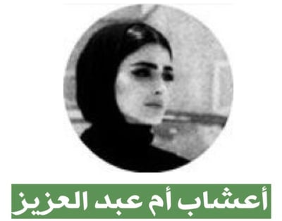عناية النفاس 41 logo