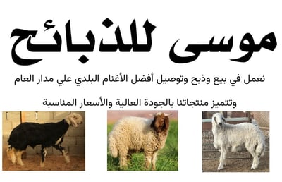 موسى للذبائح logo