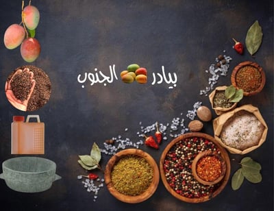 بيادر الجنوب logo
