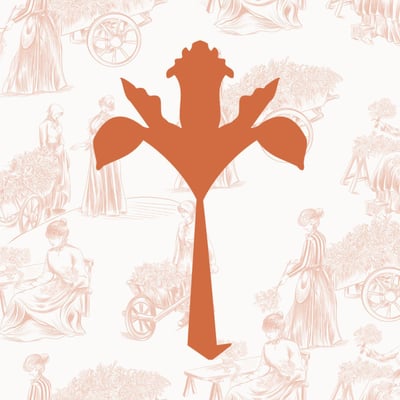 amenahibrhimflowers logo