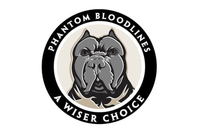 main-logo