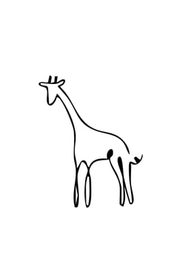 البركة الصغيرة logo