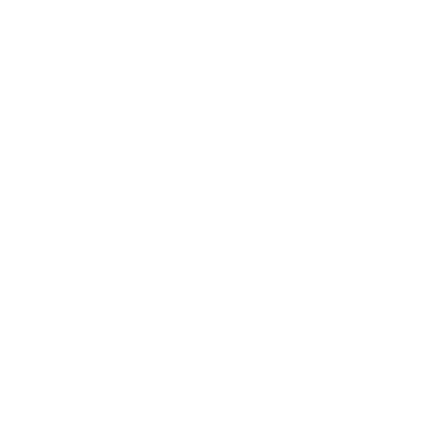 The director logo