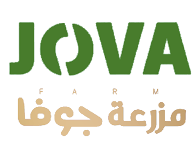 مزرعة جوفا