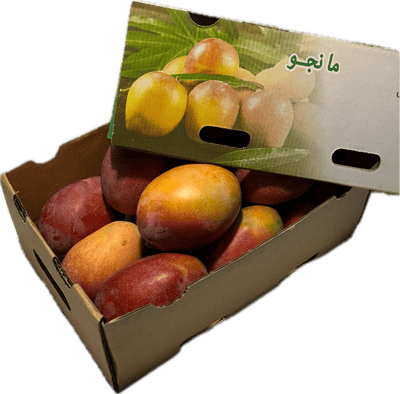 مانجو أملج logo