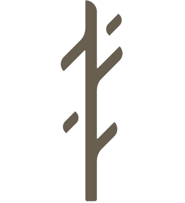 جذع للعود logo