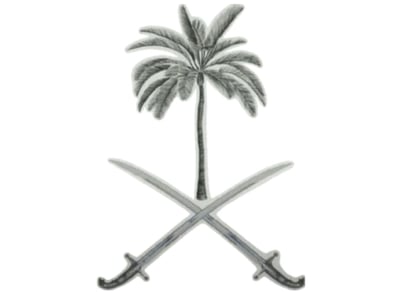 saudi_features logo