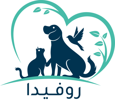 𝑅𝑂𝑉𝐼𝐷𝐴 logo