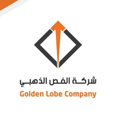 العصر الذهبي للشبكات