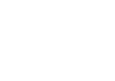 فيلورا | Velora logo
