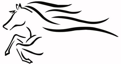 الحصان اللامع - Shiny Horse logo